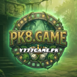 PK080 Game