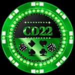 CD 22 Game